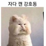 [댓글부탁해] 나 <b>미간</b>에 여드름 개큰거 남