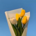 [댓글부탁해] 메롱샵 <b>사본</b> 사람