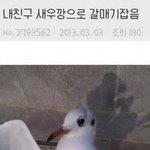[댓글부탁해] ㄹㅇ 우리집만 있는 습관