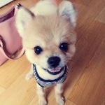 [19] 남친이 ㅈㅇ해달라고해서 해줬는데 <b>니들</b>도 해줌?