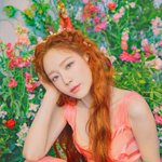 태연 신곡 약간 저녁의 이유랑 비슷한듯