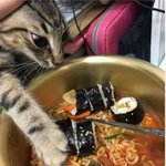 [댓글부탁해] <b>소유욕</b> 어떻게 버려? ㅠ