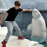 저스틴 <b>비버</b> 리즈