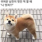 기념일을 어떻게 정해야하죠...