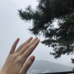 <b>내손</b> 이뿌지않니..?!