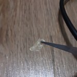 3주동안 판에 올린 <b>귀지</b> 모음집.jpg