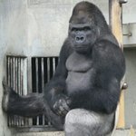 [EXO] 니네 혹시 <b>릴라</b>언니 아냐..?