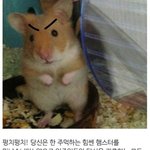 실화냐? 시간 ㅈㄴ 빠르네 벌써 5<b>시야</b>