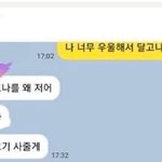 [드루와] 햐 진짜 판 못 끊겠다 너네가 판 못 끊는 이유는 뭐야...