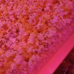 [EXO] 나만 이거 꽃인줄알았냐
