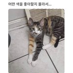 [댓글부탁해] 나 낼부터 <b>독서실</b>갈껀데