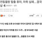 [드루와] 동물원 빠져나온 퓨마 개슬픔..