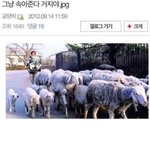[<b>추반</b>] 온클 출첵 몇시에 할지 <b>추반</b>해죠