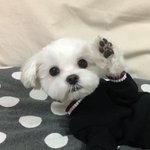 [19] 나 성인 되면 <b>술집</b>에서 일할란다