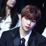 남돌 눈매 완전 강아지랑 사막<b>여우</b> 그 어딘가