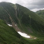 [이것좀봐줘] [일본실화] 후쿠오카 불곰습격사건