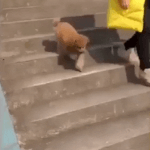 [EXO] 태연 <b>시녀</b>들 메크로 딱 걸렸넹