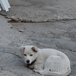 [19] <b>오예</b> 곧 학교간당