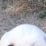 [댓글부탁해] <b>인스</b>타프사좀골라줘