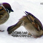 아 미친 오늘 판<b>밍</b>아웃 당함 ㅅㅂ