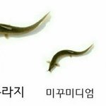 나 <b>웃음</b>장벽 ㅈㄴ 낮은데