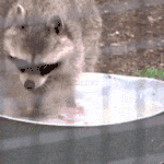 이런 <b>마누</b>라 갖고싶다..