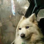 [19] 얘들아 진짜 <b>개수</b>치플이었던거 말해줄까;