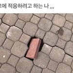 <b>개학</b> 미뤄질거 같음 내 생각에