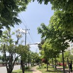 오늘 날씨 진짜 <b>여름</b>이었음