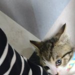 근데 ㄹㅇ <b>똥차</b>한테 한번 데여봐야