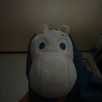 <b>무민</b>이 귀엽디