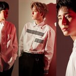 현재 데이식스 팬들이 열광하는 이유