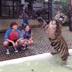 [NCT] 얘들아 텐 <b>과거사진</b>에 호랑이