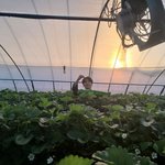 [댓글부탁해] +팬인증)팬인증또함)탈<b>아미</b>함