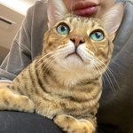 [댓글부탁해] 극혐<b>주</b>의)여드름 흉터 <b>몇</b>개월 지나면 괜찮아져?ㅠㅠ