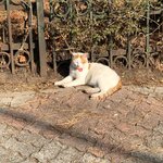 판에 적은 <b>글</b>, 댓글 짝남한테 보여주고 500만원 받기 <b>vs</b> 그냥...