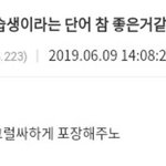 <b>한쪽</b> 눈만 쌍수 가능?