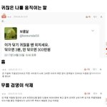 [드루와] ❤️<b>정법</b>❤️선택한 애들아 들어와봐