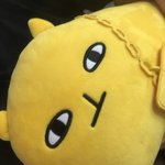 방금 고양이 배송옴ㅎㅎㅎㅎㅎㅎ