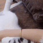 [19] 얘들아 소확<b>행이</b> 무슨 뜻이야?