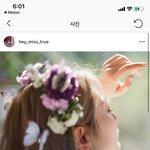 [이것좀봐줘] <b>안지영</b>이 나비와 고양이를 쓰게 된 이유