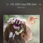 <b>엑소엘</b> 왜 그러는데;;