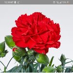 [댓글부탁해] <b>want</b>