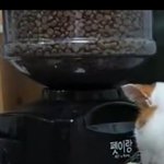 [댓글부탁해] <b>cruel</b>