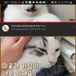 와 갑수목장 진짜 개소름이다..