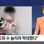 아 갑수목장 폭로 고양이 카페에도 올리고싶다