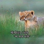 [드루와] 블랙핑크는 뭔가