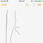 [댓글부탁해] 나만 허벅지 뒤에 저렇냐