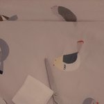 [19] 언니 <b>거즈</b>ㄸ 쳐보고올게 얘들아