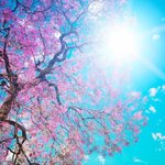 [드루와] 팬들이 <b>소속</b>사욕하는거때문에 탈빠말림